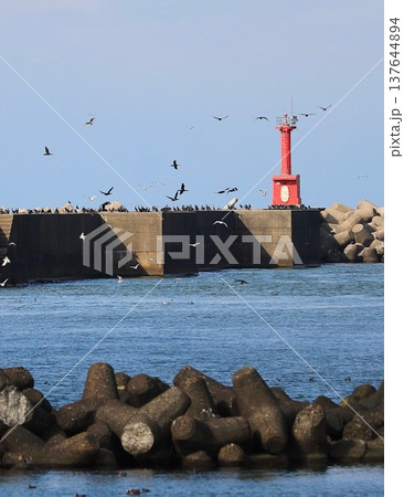 日本海　直江津　新潟 137644894