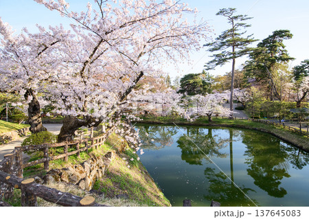 内濠に木々映す爽やかな朝を迎えた春の弘前公園　青森県 137645083