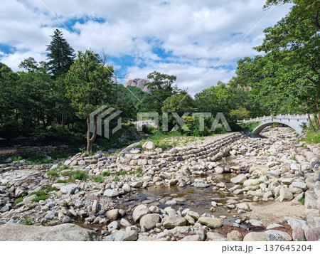 This is the valley scenery of Seoraksan Mountain in Korea. 137645204