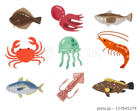 水彩タッチの海の仲間たちイラストセット 137645274