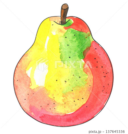洋梨の水彩イラスト 137645336