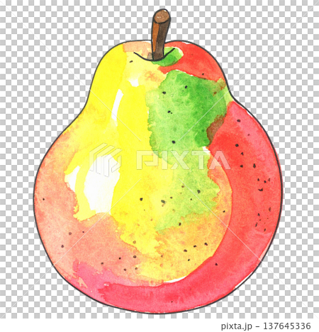 洋梨の水彩イラスト 137645336
