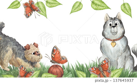 A watercolor frame featuring a cute husky and a curly terrier playing ball on the lawn 137645937