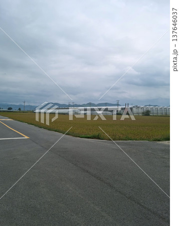 It is a rural landscape with golden fields and roads. It is a rural landscape with golden fields and roads. 137646037