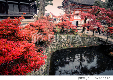 Nov 25 2025 Serene Pond and Stone Bridge at Kiyomizu dera 137646342