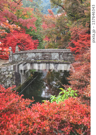 Nov 25 2025 Serene Pond and Stone Bridge at Kiyomizu dera 137646343