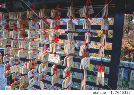 Nov 25 2025 Wooden Ema Prayer Plaques at Kiyomizu-dera Temple Nov 25 2025 Wooden Ema Prayer Plaques at Kiyomizu-dera Temple 137646355