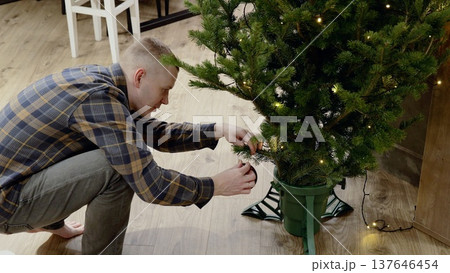 Male decorator hanging colorful christmas lights on fir tree, transforming living room with festive holiday decor and creating warm, welcoming family environment Male decorator hanging colorful christmas lights on fir tree, transforming living room with festive holiday decor and creating warm, welcoming family environment 137646454
