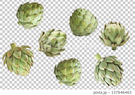 Fresh whole green artichokes isolated on white background, showcasing natural texture and detail, concept of healthy eating Fresh whole green artichokes isolated on white background, showcasing natural texture and detail, concept of healthy eating 137646463