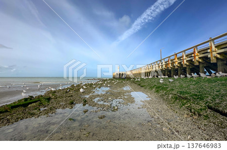 Nieuwpoort, West-Vlaanderen, Belgium, Ocotber 25th, 2025, Dynamic seaside view showcasing vivid 137646983