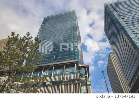 Nov 25 2025 Golden Ginkgo Trees Beside Modern Ofukacho Office Towers 137647143