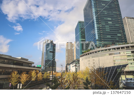 Nov 25 2025 Golden Ginkgo Trees Beside Modern Ofukacho Office Towers Nov 25 2025 Golden Ginkgo Trees Beside Modern Ofukacho Office Towers 137647150