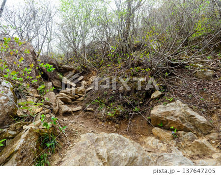 険しい登山道 険しい登山道 137647205