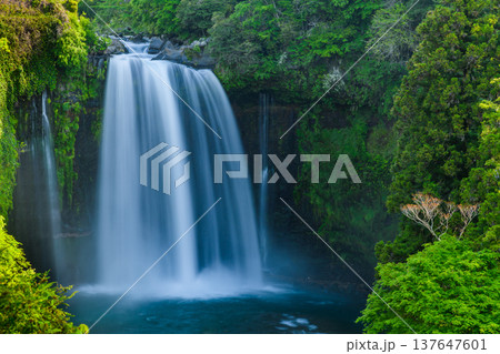 世界遺産・富士山構成資産、静岡県「音止の滝」のスローシャッターで描くダイナミックな滝壺 137647601