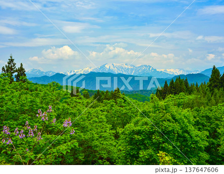 東北のアルプス・飯豊連峰、初夏の青空に輝く美しい残雪と稜線の風景 137647606