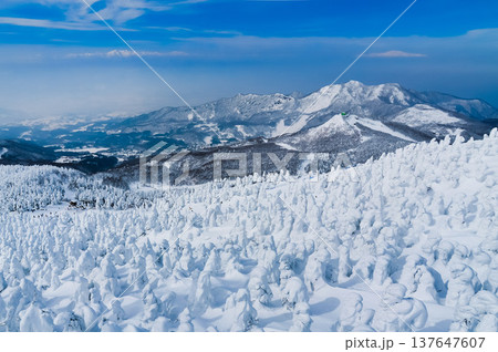 【快晴】蔵王のスノーモンスター、紺碧の空に映える純白の樹氷と冬の絶景 【快晴】蔵王のスノーモンスター、紺碧の空に映える純白の樹氷と冬の絶景 137647607