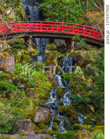 赤い太鼓橋の奥に庭石や緑の草木と滝が流れ落ちる日本庭園の景色 (青森県、弘前) 赤い太鼓橋の奥に庭石や緑の草木と滝が流れ落ちる日本庭園の景色 (青森県、弘前) 137647808