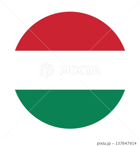 Flags of Hungary - flat collection icon. Hungary national flag set shape variations vector icon. Isolated sticker. 137647914