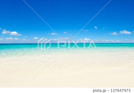 tropical Maldives island with white sandy beach and sea 137647973