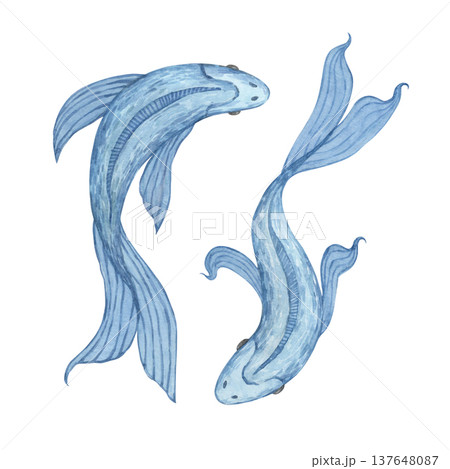 A set of watercolor illustrations featuring beautiful blue fish 137648087