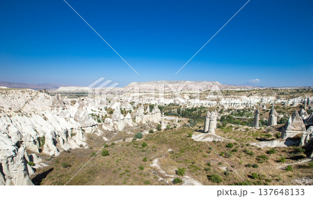 The view of the ancient cave city and fortress Uchisar, Cappadocia, Turkey 137648133