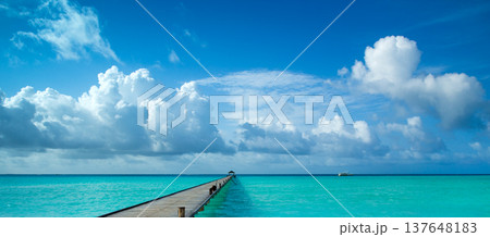 tropical Maldives island with white sandy beach and sea tropical Maldives island with white sandy beach and sea 137648183