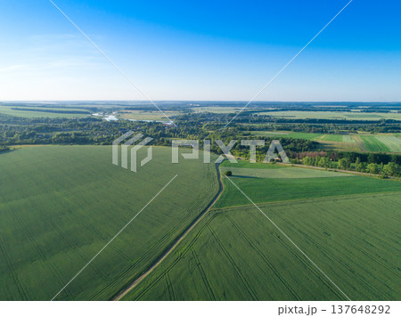 green field and blue sky green field and blue sky 137648292