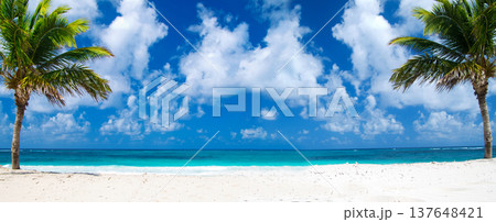 Sea beach. Tropical sea under the blue sky. Sea beach. Tropical sea under the blue sky. 137648421