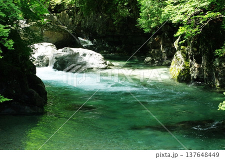 初夏の長野県大桑村の阿寺渓谷では、紫色や橙色のツツジとエメラルドグリーン色の川が似合います。 初夏の長野県大桑村の阿寺渓谷では、紫色や橙色のツツジとエメラルドグリーン色の川が似合います。 137648449