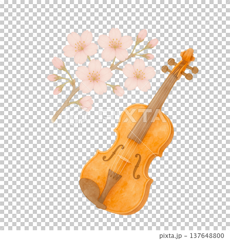 櫻花和小提琴的水彩插畫。春季音樂主題。 137648800