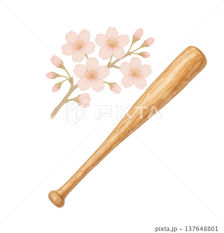 桜の花と木製バットの水彩イラスト 野球スポーツ素材 137648801