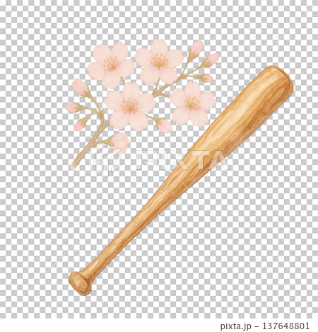 櫻花和木棒的水彩插圖（棒球運動材料） 137648801