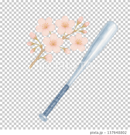 櫻花和金屬棒球棒的水彩插圖（棒球運動材料） 137648802