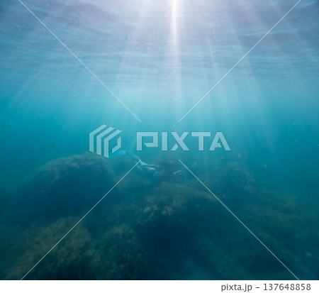 Freediving underwater sunlight woman swims through deep blue water with ethereal light rays providing a serene sense of exploration Freediving underwater sunlight woman swims through deep blue water with ethereal light rays providing a serene sense of exploration 137648858