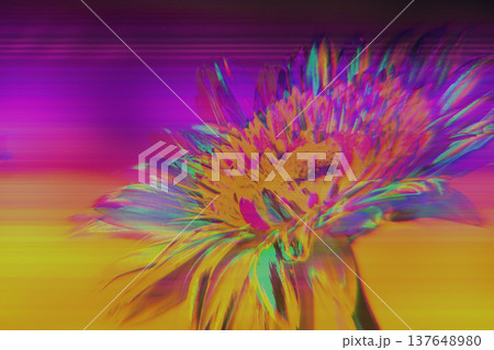 Glitch Flower Neon Chromatic Aberration Digital Distortion Texture 137648980