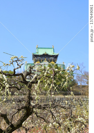 大阪城と満開の梅の花 大阪城と満開の梅の花 137649061