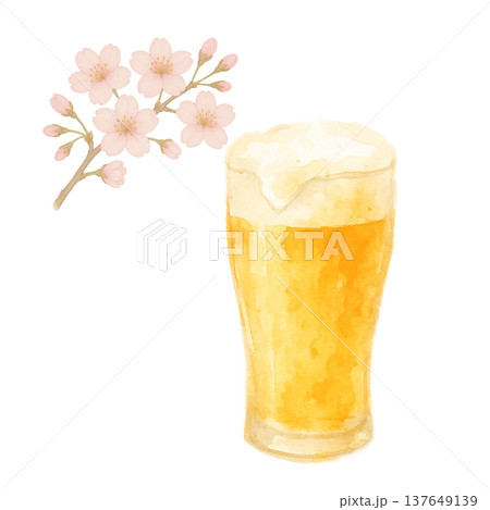 桜の花とビールジョッキの水彩イラスト 春の乾杯素材 137649139