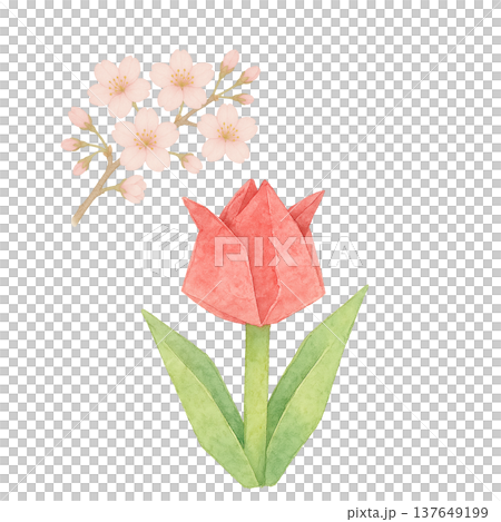 チューリップと桜の花の水彩イラスト 春の花素材 137649199