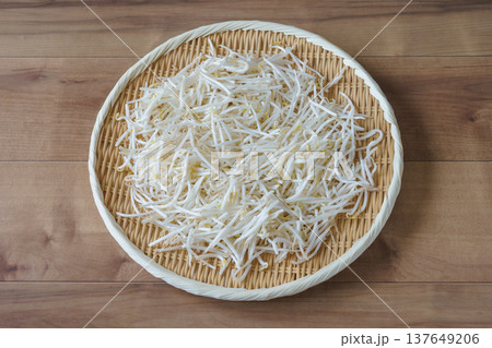 緑豆もやし 緑豆もやし 137649206