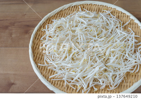 緑豆もやし 137649210