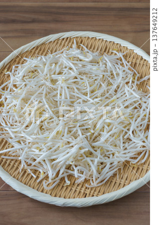 緑豆もやし 緑豆もやし 137649212