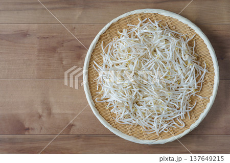 緑豆もやし 137649215