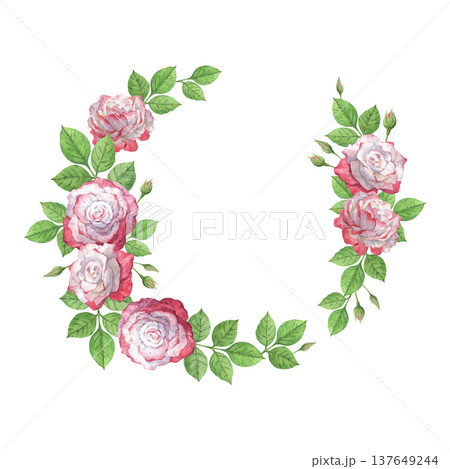 A wreath of watercolor rose illustrations A wreath of watercolor rose illustrations 137649244