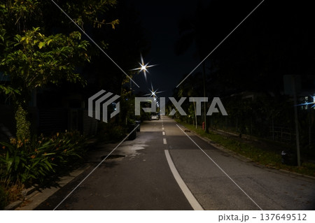 Night Street Scene with Heliconia plants and streetlights Night Street Scene with Heliconia plants and streetlights 137649512