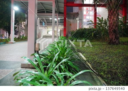 Lush Green Plants and Architecture 137649540