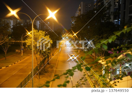 Night Road with Starburst Lights and Bougainvillea Blooms 137649550