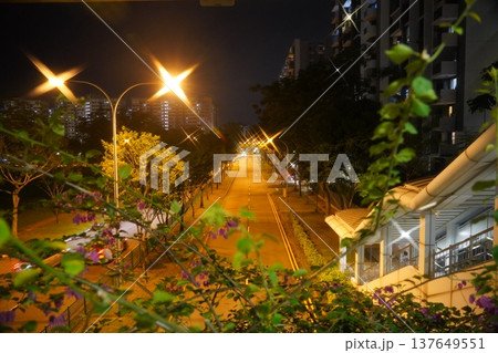 Night View of Singapore Road with Bougainvillea Night View of Singapore Road with Bougainvillea 137649551