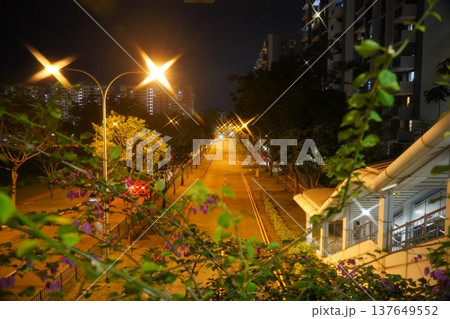 Night Scene of a Road with Bougainvillea Spectabilis Night Scene of a Road with Bougainvillea Spectabilis 137649552