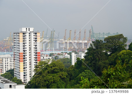 Singapore Cityscape with Cranes and Lush Green Trees 137649986