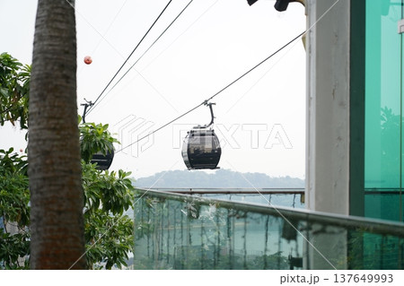 Cable Cars Above Water Seen Through Lush Green Trees 137649993
